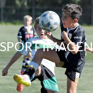 colegio del arce vs newman