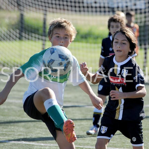 colegio del arce vs newman