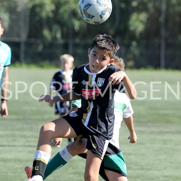 colegio del arce vs newman