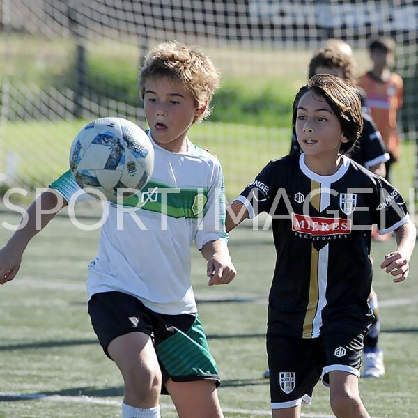 colegio del arce vs newman