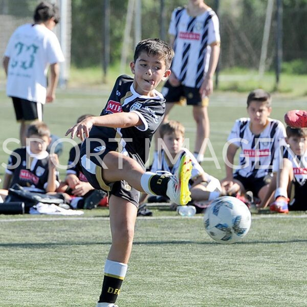 colegio del arce vs newman