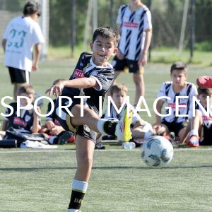 Home colegio del arce vs newman