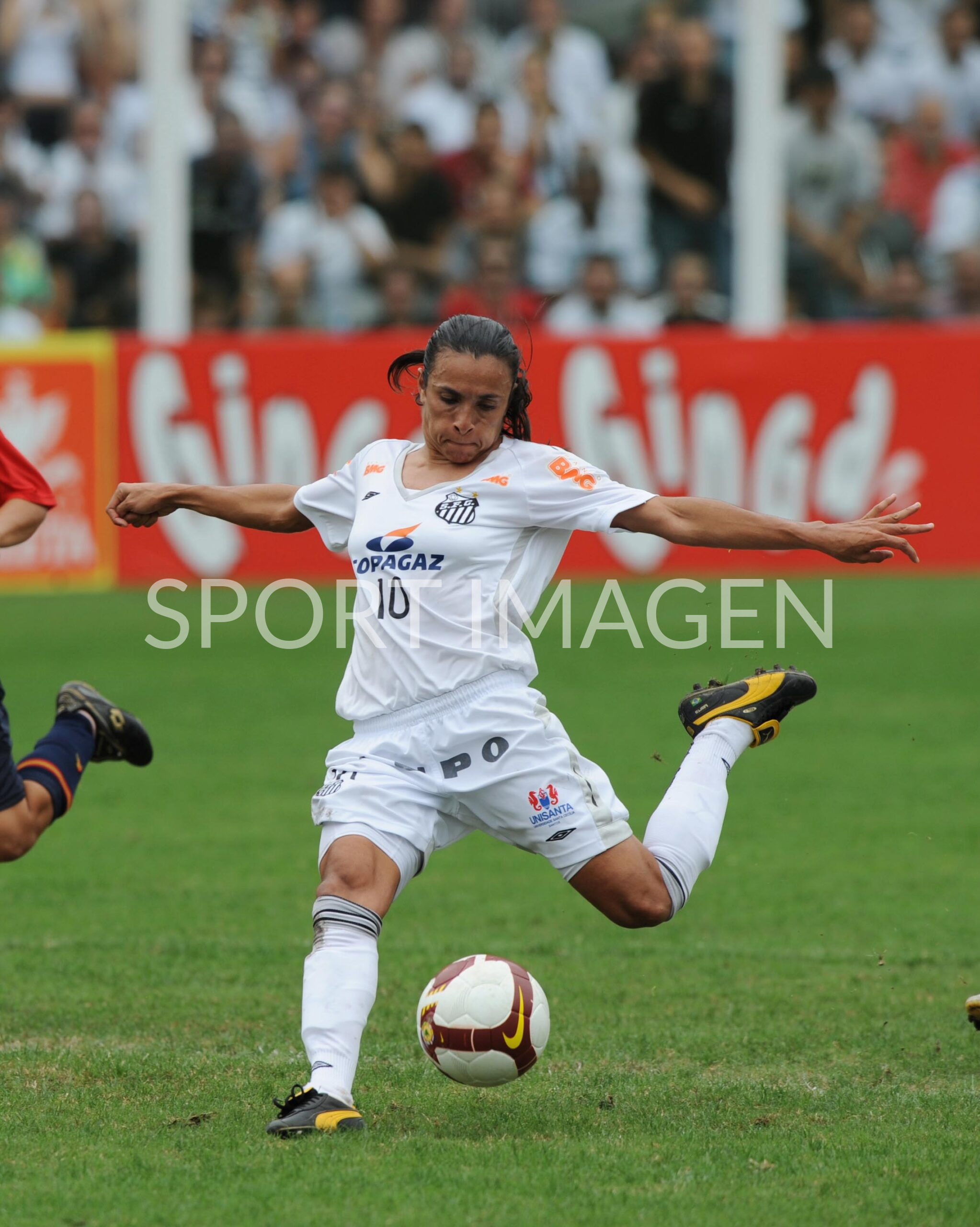 Torneo Femenino 55