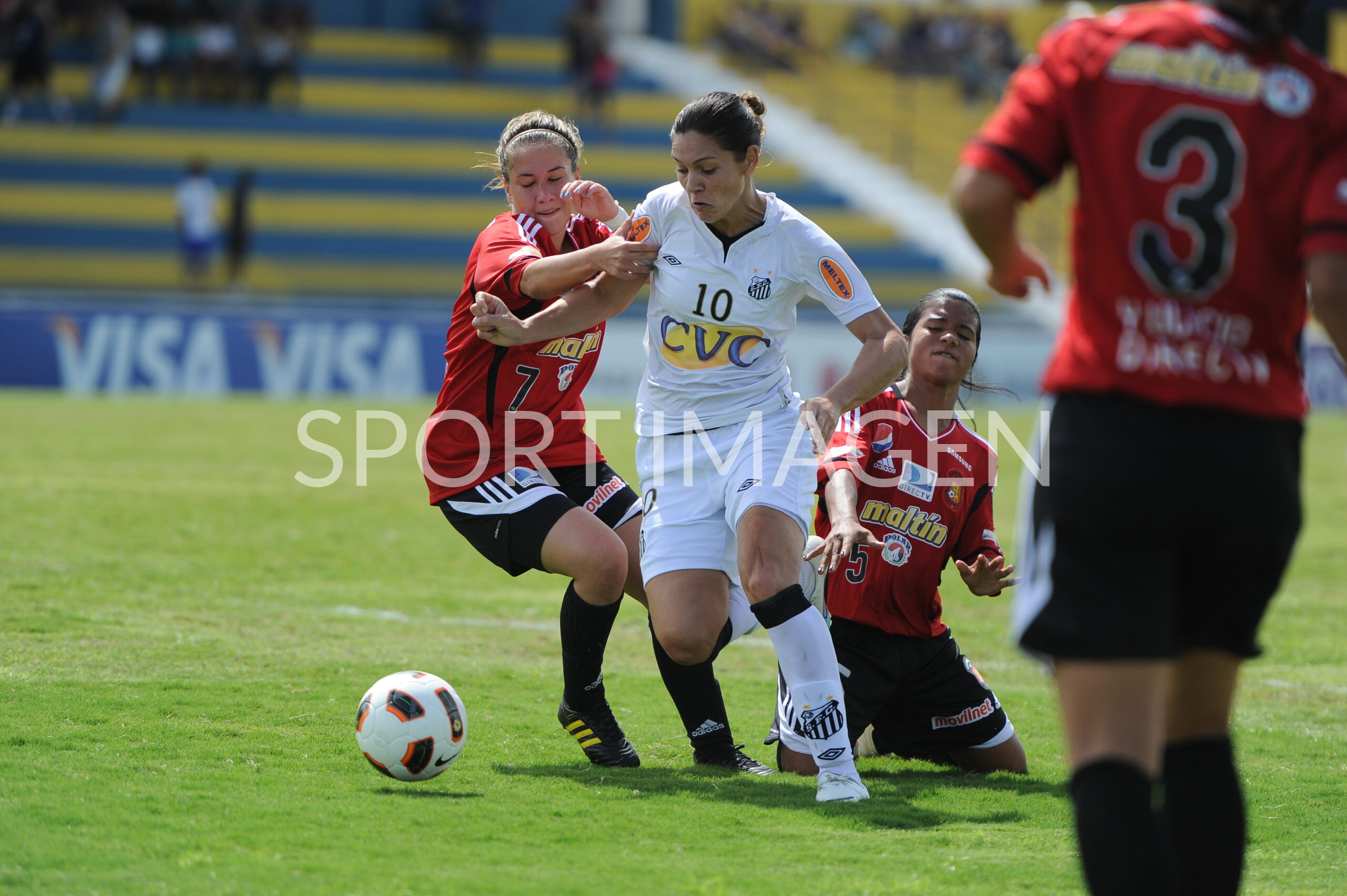 Torneo Femenino alf 1060