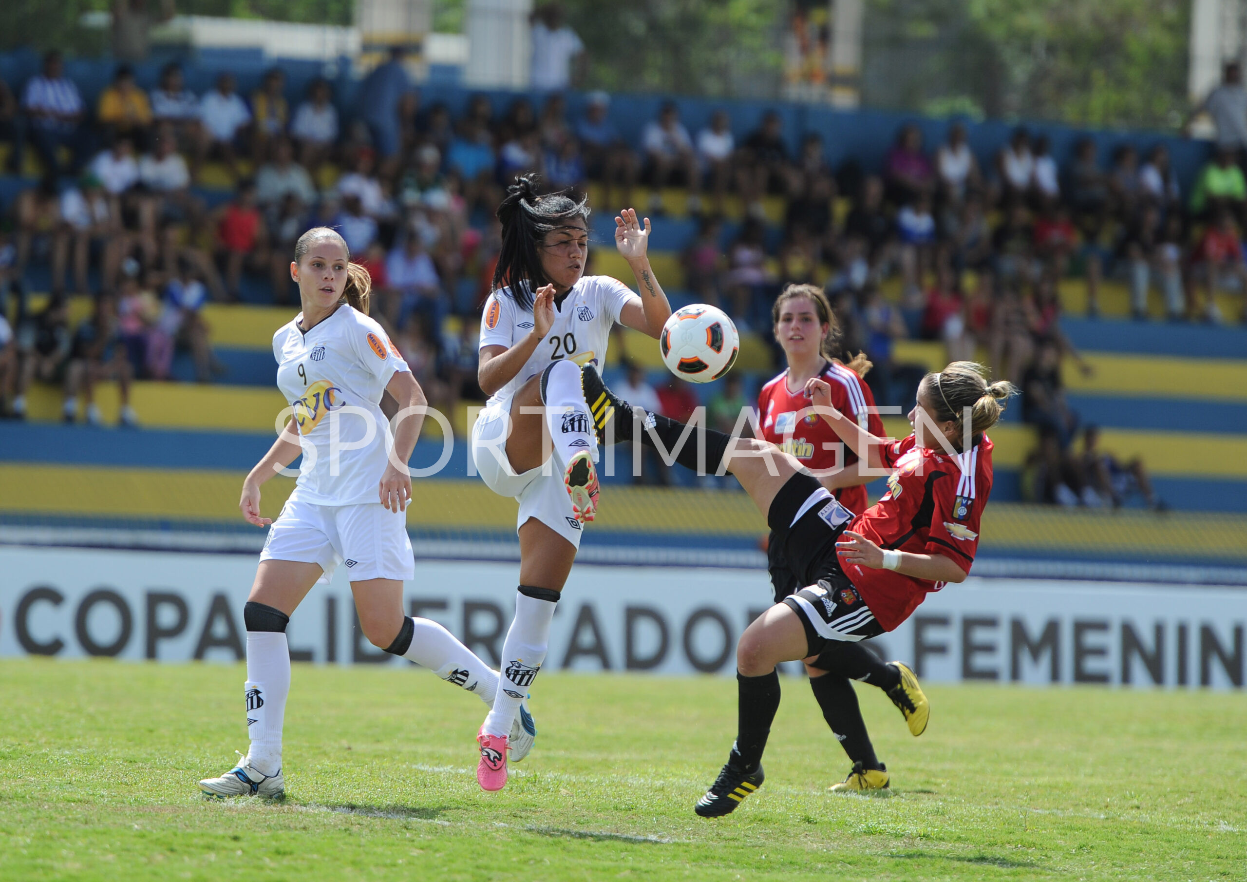 Torneo Femenino alf 1072