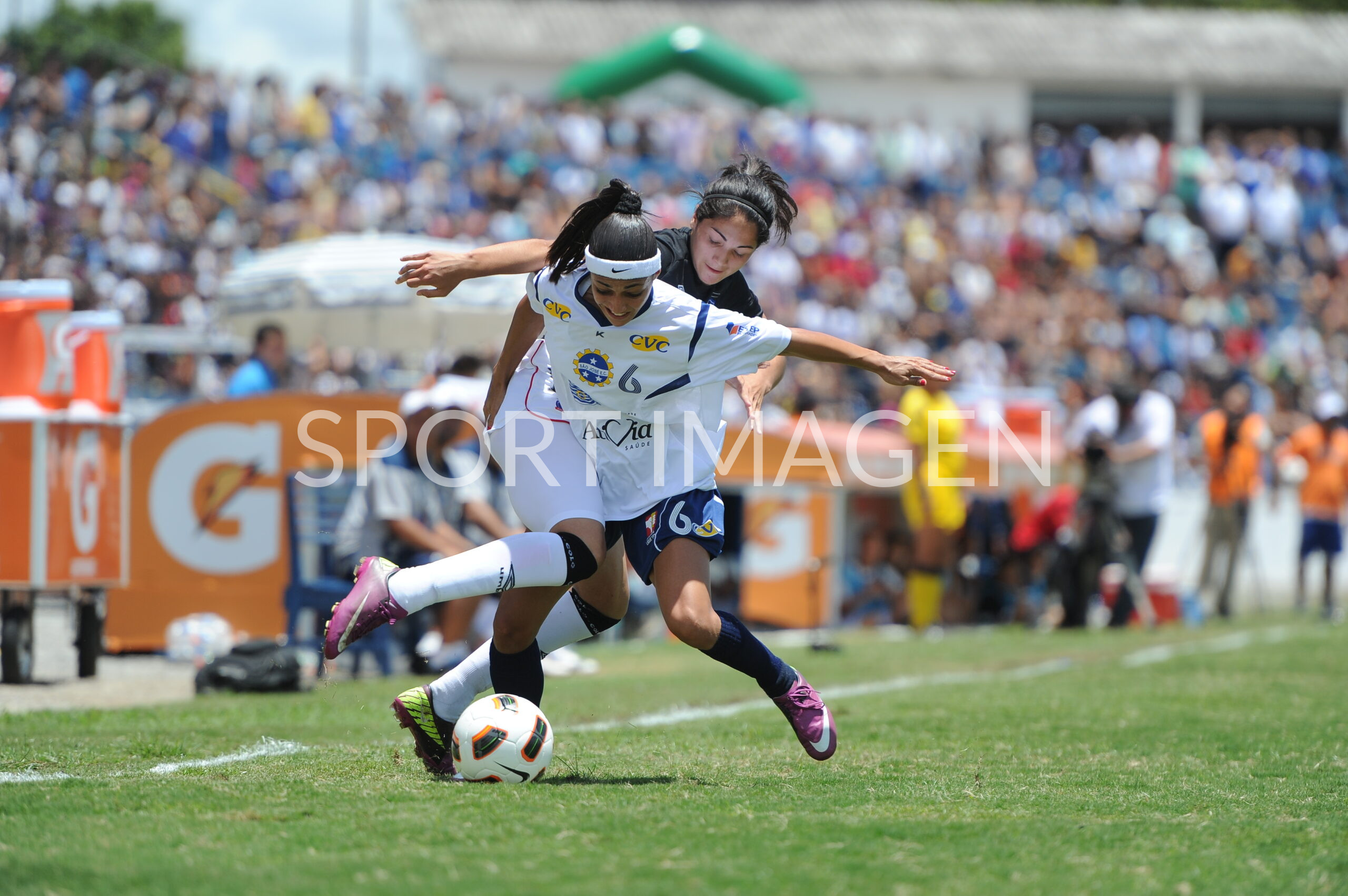 Torneo Femenino alf 1343